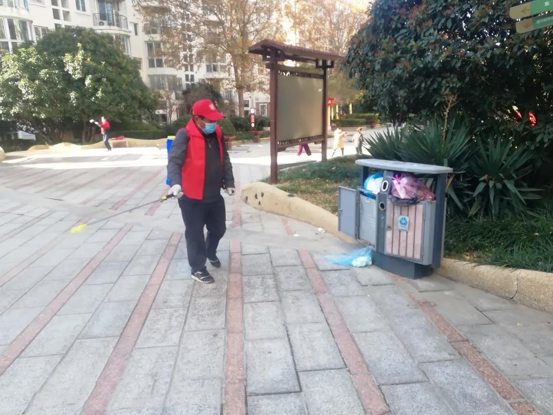 建基咨询全城消杀活动