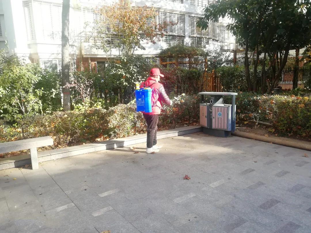 建基咨询志愿活动