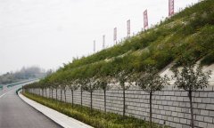 公路工程监理公司分享路基工程中植被保护的意义