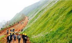 推行绿色矿山建设  促进矿山工程监理转型升级