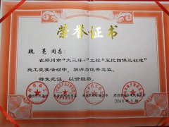 建基咨询魏亮先生被郑州市总工会、团市委、市妇联、市建委评为“优秀总监”