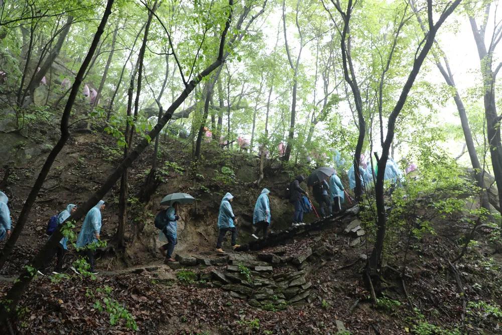 建基咨询徒步旅行活动